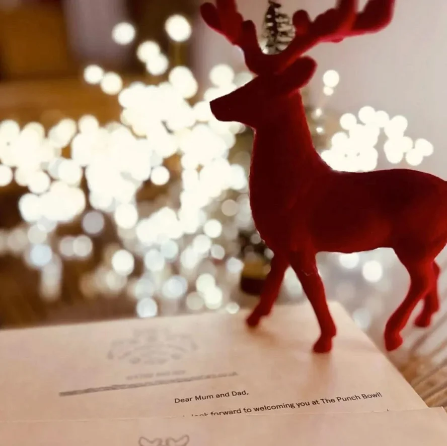 Punch Bowl gift voucher with a red reindeer and Christmas lights